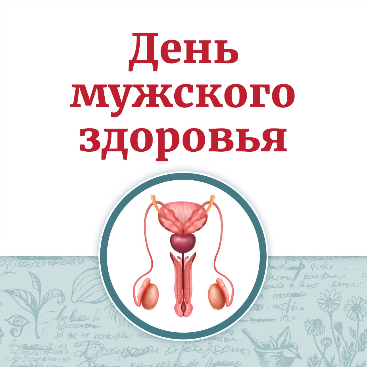 Специалисты Щёлковской областной больницы приглашают на День мужского здоровья